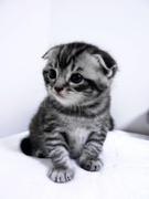 wa的个人资料头像