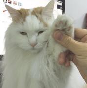 igiu_1988的个人资料头像