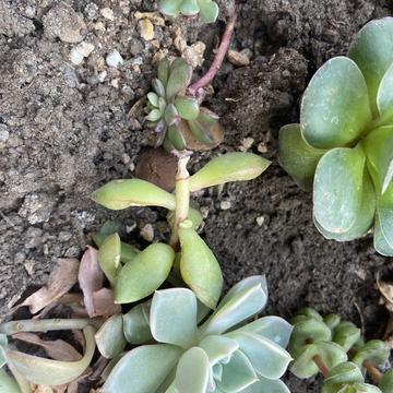 zhonglaoban于2020-03-29 23:07发布的图片