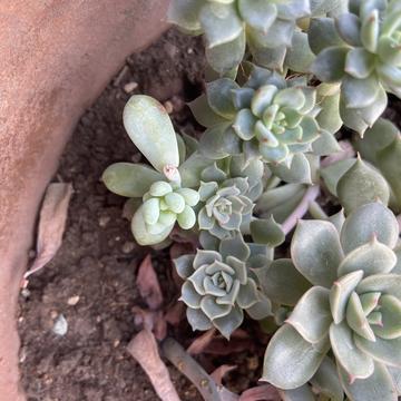 zhonglaoban于2020-03-29 23:07发布的图片