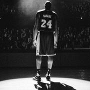 zxali的个人资料头像