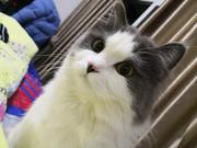 前端界的草履虫的个人资料头像