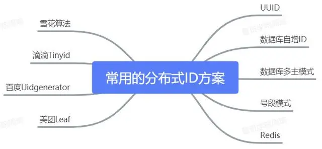 大型互联网公司：常用的分布式ID方案总结！