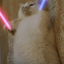 科目三后吃饭于2020-03-30 16:29发布的图片