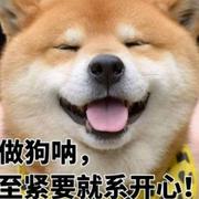 95277的个人资料头像