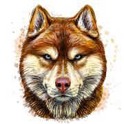 jack_wuliang的个人资料头像