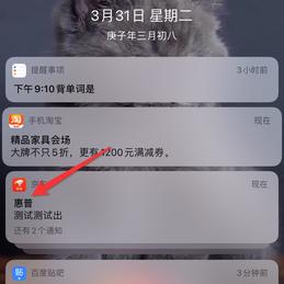 泰勒于2020-03-31 12:24发布的图片