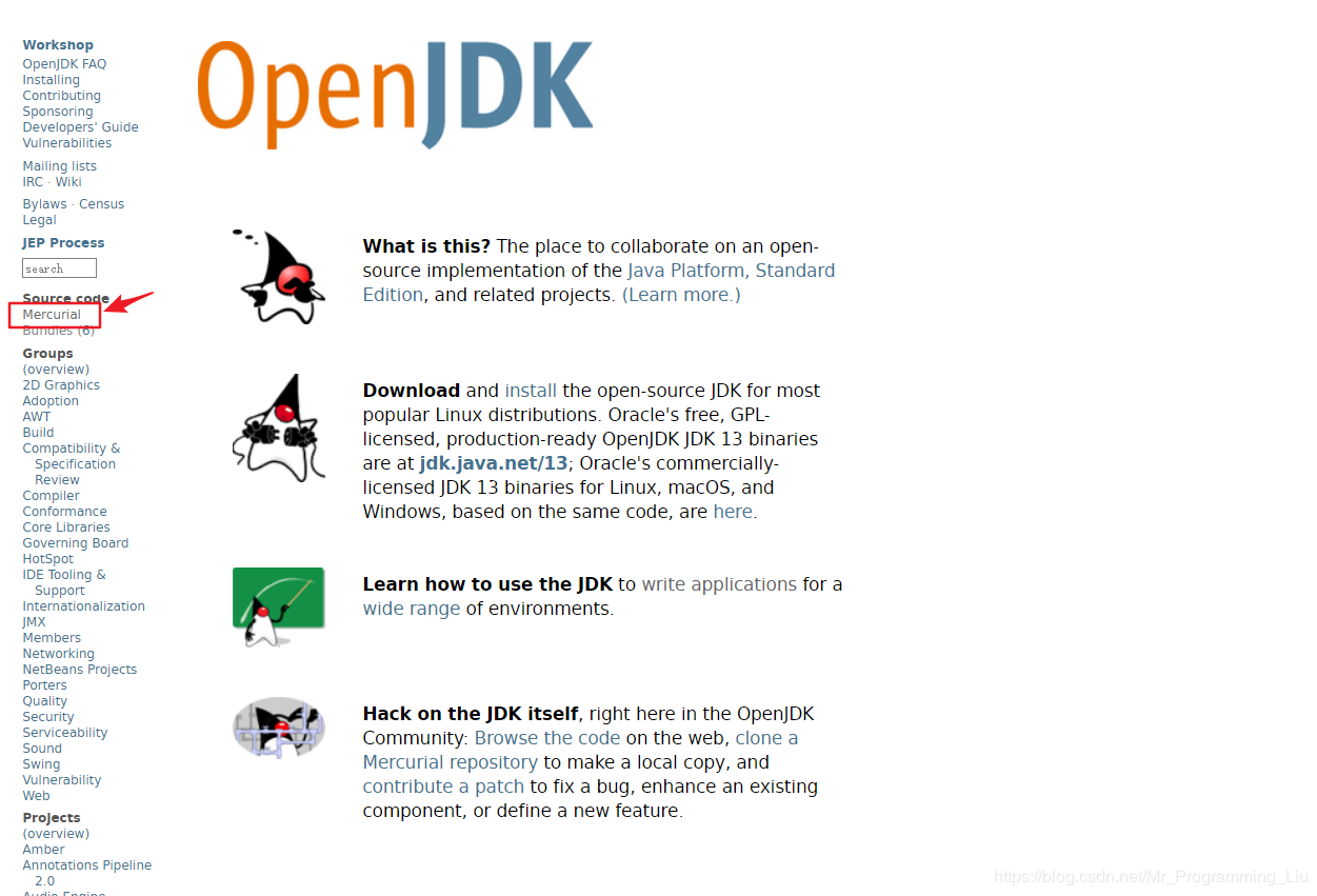 OpenJDK