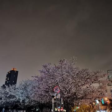 听你的声音于2020-03-31 16:28发布的图片