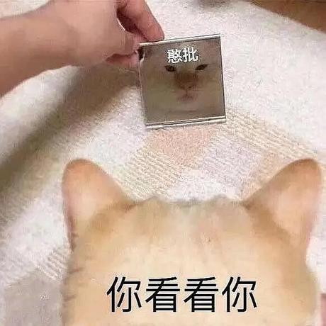 清风夜半于2020-03-04 19:24发布的图片