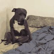 long_弥的个人资料头像