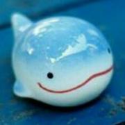 原轻的个人资料头像