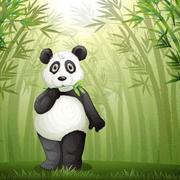 熊猫cos的个人资料头像