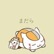 喵多多的个人资料头像