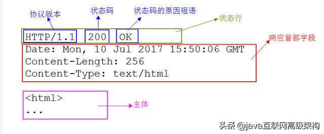 太厉害了，终于有人能把HTTP协议讲的明明白白了