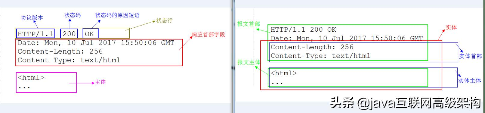 太厉害了，终于有人能把HTTP协议讲的明明白白了