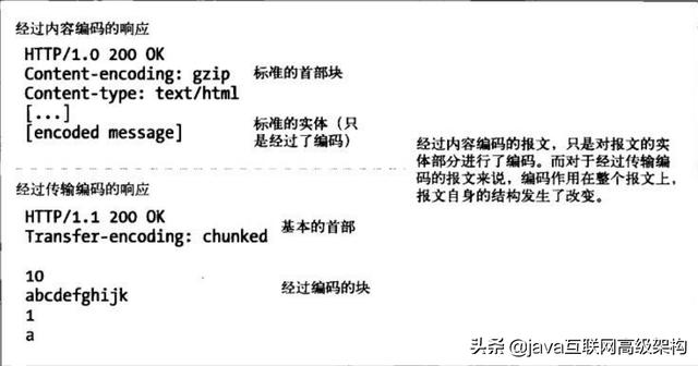 太厉害了，终于有人能把HTTP协议讲的明明白白了