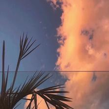 xxxL于2020-03-06 10:41发布的图片