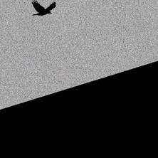 xxxL于2020-03-06 10:41发布的图片