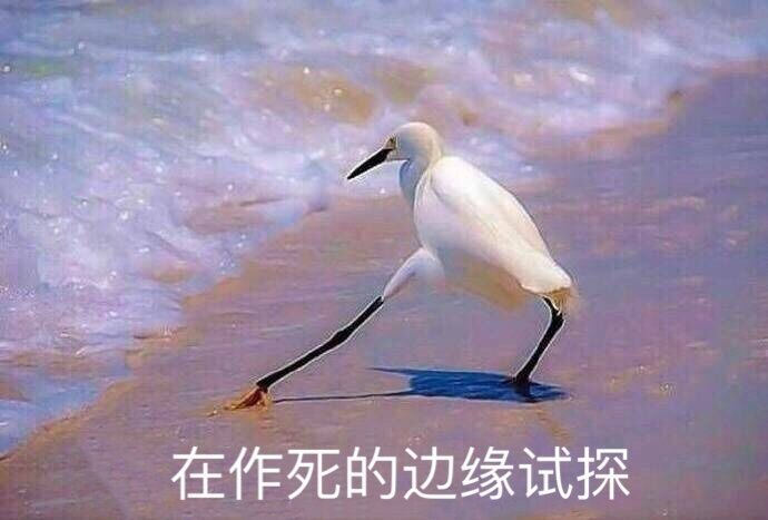 在危险的边缘疯狂试探