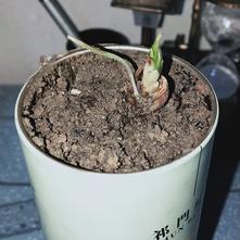 张风捷特烈于2020-03-06 18:01发布的图片