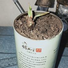 张风捷特烈于2020-03-06 18:01发布的图片