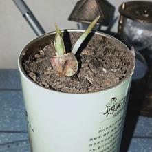 张风捷特烈于2020-03-06 18:01发布的图片