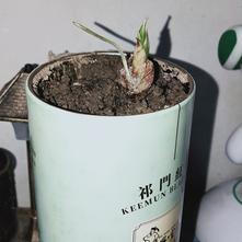 张风捷特烈于2020-03-07 18:16发布的图片