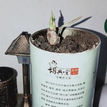 张风捷特烈于2020-03-07 18:16发布的图片