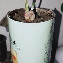 张风捷特烈于2020-03-07 18:16发布的图片