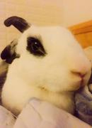 AddictLullaby的个人资料头像