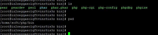 FPM 架构下运行一个 PHP 文件后 nginx 如何与 PHP-FPM 进程管理器进行交互的 [硬核跟踪数据交互]