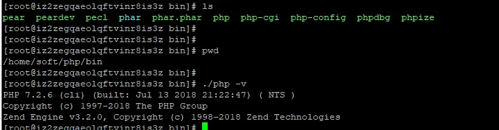 FPM 架构下运行一个 PHP 文件后 nginx 如何与 PHP-FPM 进程管理器进行交互的 [硬核跟踪数据交互]