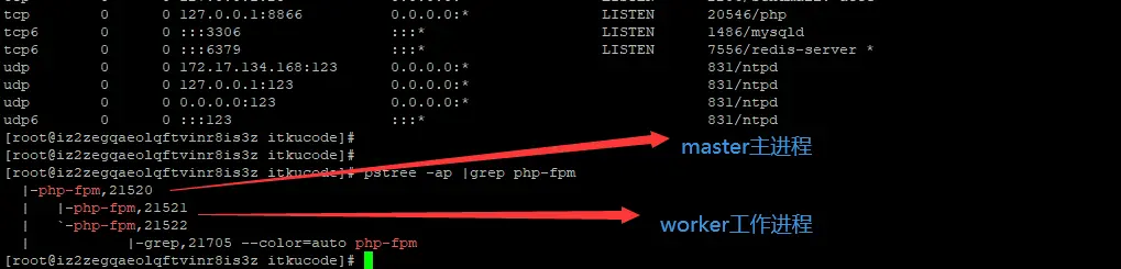 FPM 架构下运行一个 PHP 文件后 nginx 如何与 PHP-FPM 进程管理器进行交互的 [硬核跟踪数据交互]