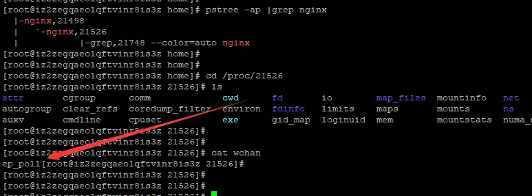 FPM 架构下运行一个 PHP 文件后 nginx 如何与 PHP-FPM 进程管理器进行交互的 [硬核跟踪数据交互]