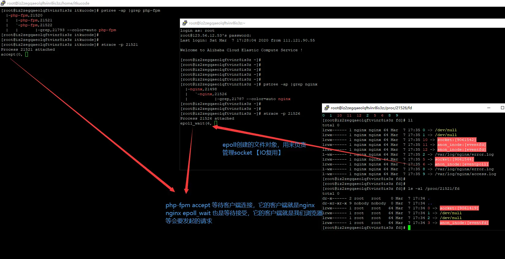 FPM 架构下运行一个 PHP 文件后 nginx 如何与 PHP-FPM 进程管理器进行交互的 [硬核跟踪数据交互]