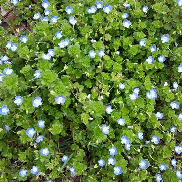 figerismy于2020-03-08 14:41发布的图片