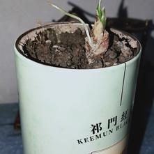 张风捷特烈于2020-03-08 20:16发布的图片