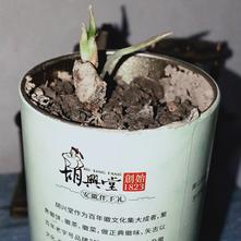 张风捷特烈于2020-03-08 20:16发布的图片