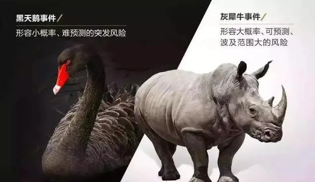 黑天鹅 VS 灰犀牛