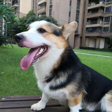 拜小白于2020-03-09 08:59发布的图片