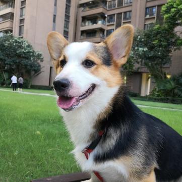 拜小白于2020-03-09 08:59发布的图片