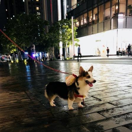 拜小白于2020-03-09 08:59发布的图片