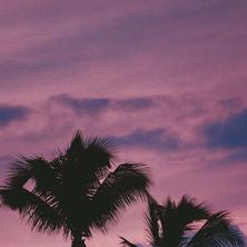 xxxL于2020-03-09 13:28发布的图片