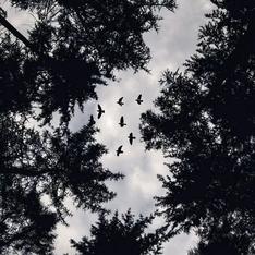 xxxL于2020-03-09 13:28发布的图片