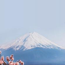 xxxL于2020-03-09 13:28发布的图片