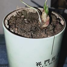 张风捷特烈于2020-03-09 18:34发布的图片