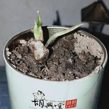 张风捷特烈于2020-03-09 18:34发布的图片