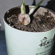 张风捷特烈于2020-03-09 18:34发布的图片