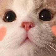 十号风球breeze的个人资料头像